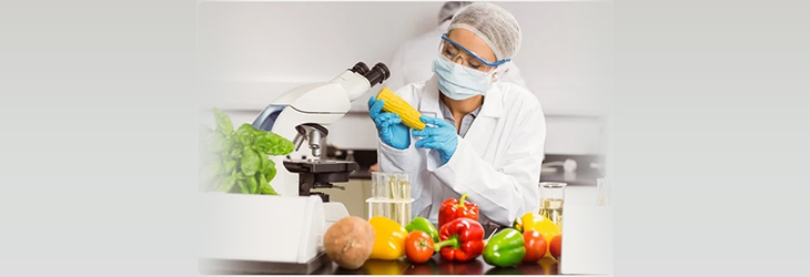 Food Science 2022